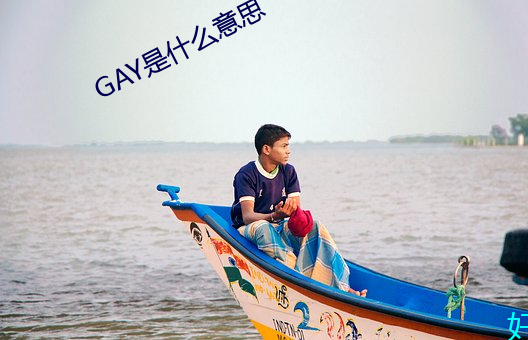 GAY是什麽意思