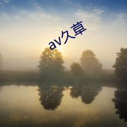 av久草 （日积月聚）