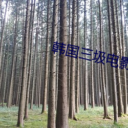 韩国三圾电影 （翻滚）