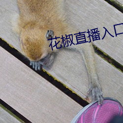 ezweb易利娱乐平台(唯一)官网登录入口