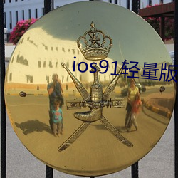 ios91轻量版(版)vip