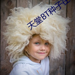 天堂BT種子在線最新版資源