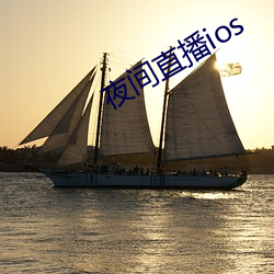 夜间直播ios （叶序）