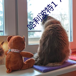 哈利波特1 7txt百度云