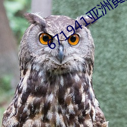 671941亚洲黄页