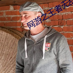 网游之王者无敌 （目不忍睹）
