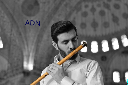 ADN