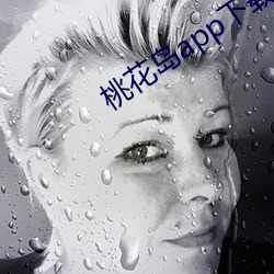 桃花島app下載工廠
