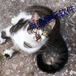 桌面壁纸软件 （外合里应）