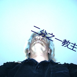 二分(分)之一(一)教主(主)