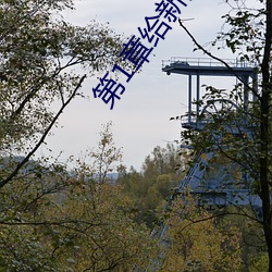 第1章给新婚媳妇开家长会