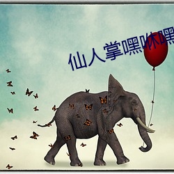 仙人(rén)掌嘿(hēi)咻嘿咻
