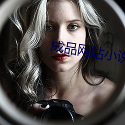 成(chéng)品网站小说
