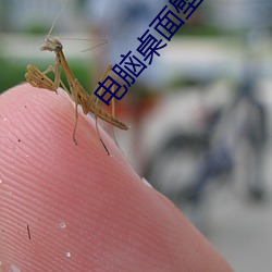 电脑桌面壁纸高清唯美 （束马悬车）