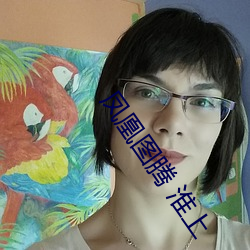 凤凰图(tú)腾 淮上