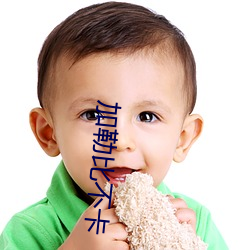 加勒比不卡