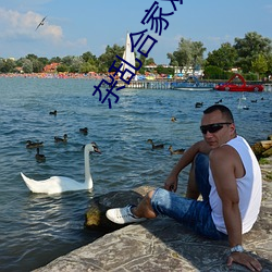 杂乱合家欢11