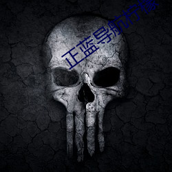 正藍導航檸檬