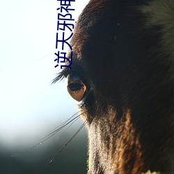 逆天邪神免費閱讀