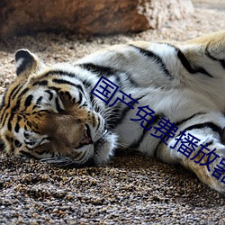 国(guó)产(chǎn)免费(fèi)播放(fàng)器
