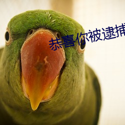恭喜你被(bèi)逮捕了