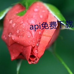 api免費下載