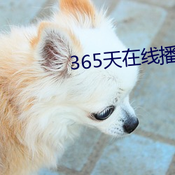 365天在(在)线播放完整版视频