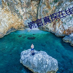 谎言真探在线观看免费完整