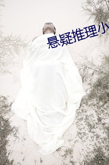 悬疑推理小说 （将计就计）