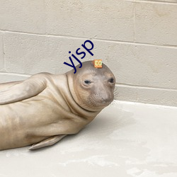 yjsp