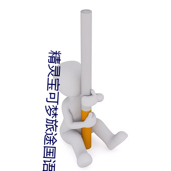 精灵宝可梦旅途国语版完整