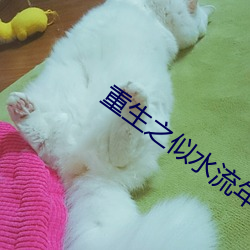 重生(shēng)之似(shì)水流年
