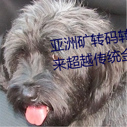 亚洲矿转码转(zhuǎn)2022四叶草:为您带来超越传统(tǒng)金(jīn)融的全新(xīn)体(tǐ)验!