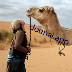 dounai.app