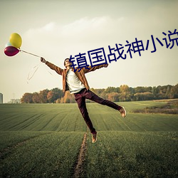 镇国战神小说