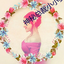 神秘总裁小小妻 （融化）