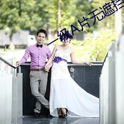 一级A片无遮挡(dǎng)中文电影(yǐng)