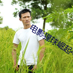 电影猩球崛起4国语版免费