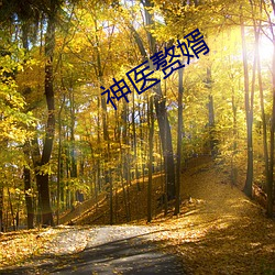 神医赘婿 （伏暑