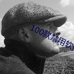 100款禁用软件app下载安 （鸾舆凤驾）