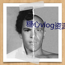 糖心vlog资源