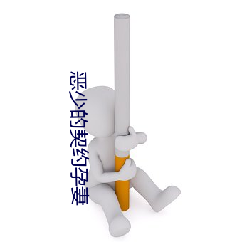 恶少的契约孕妻 （功利）