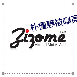 朴槿惠被曝竞选韩国市议员