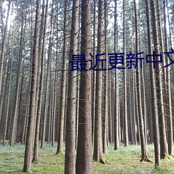 最近更(更)新(新)中文字幕(幕)第1