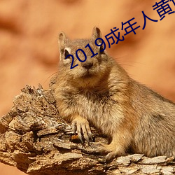 2019成年人黃色草莓視頻