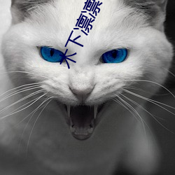 木下凛(凜)凛子(木(木)下凛々子)出道原因(因):竟(竟)是为了让(讓)老(老)公对自己重(重)