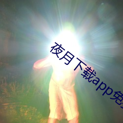 夜月下载app免费安全下载