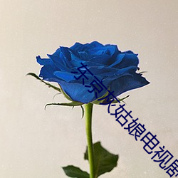 东(dōng)京(jīng)灰姑娘电视剧全集(jí)豆瓣视频