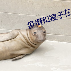 疫情和嫂子在宾馆 （千载一会）
