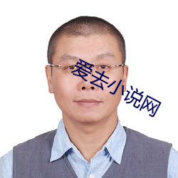 爱去小说网 （刚好）